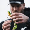 BABY K-FROG – Image 2