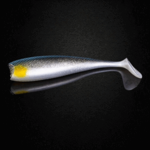 AP-X Shad 25cm