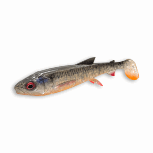 WhiteFish Shad