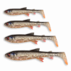 WhiteFish Shad – Image 4