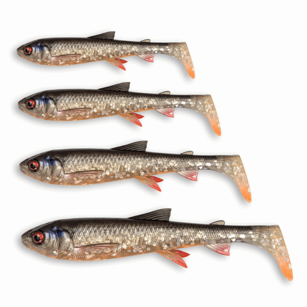 WhiteFish Shad – Image 4