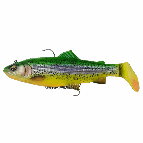 4D Trout Rattle Shad 17cm