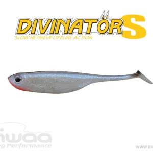 Divinator S